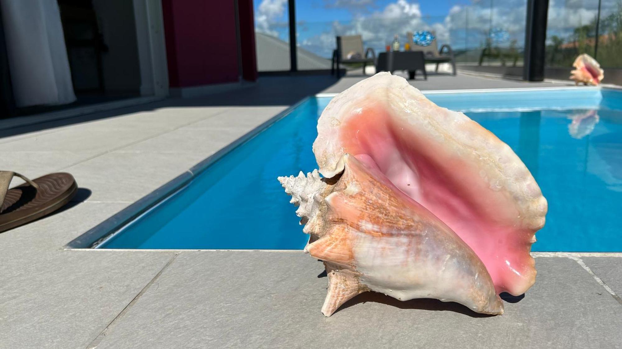 La Villa Jalna Grenadine Deux Chambres Et Piscine Privee Les Trois-Ilets Exterior foto